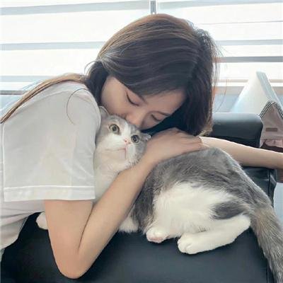 暴风一族